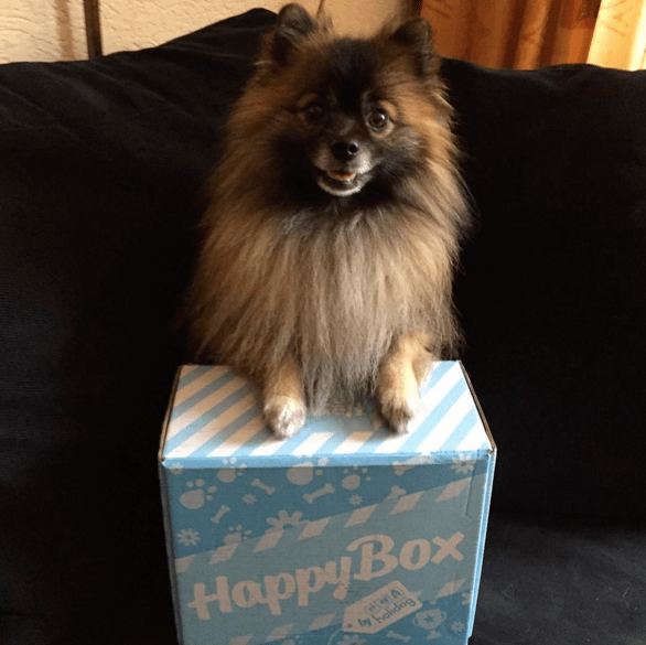 happy-box-12