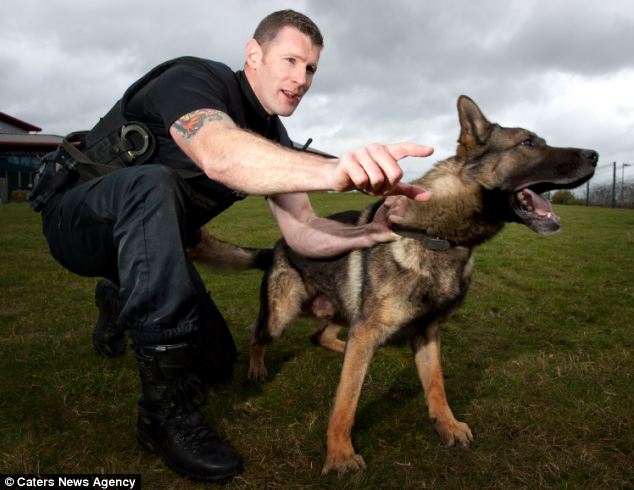 article-2254163-16AC0A52000005DC-409_634x490