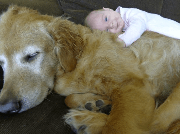 dog-n-baby-12