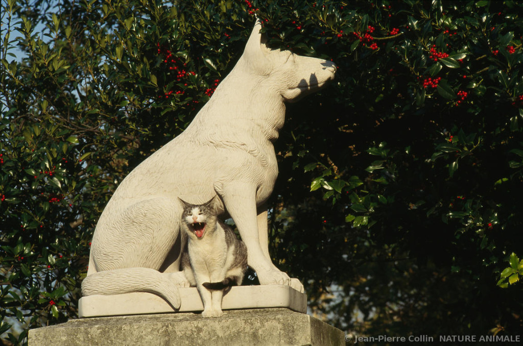 Le cimetière des chiens d'Asnières-sur-Seine est considéré comme le premier cimetière animalier créé au monde