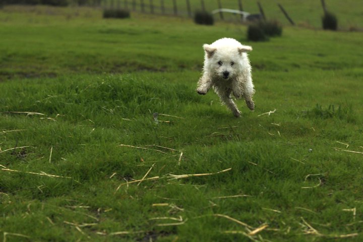 207771_208872009139660_4222926_n