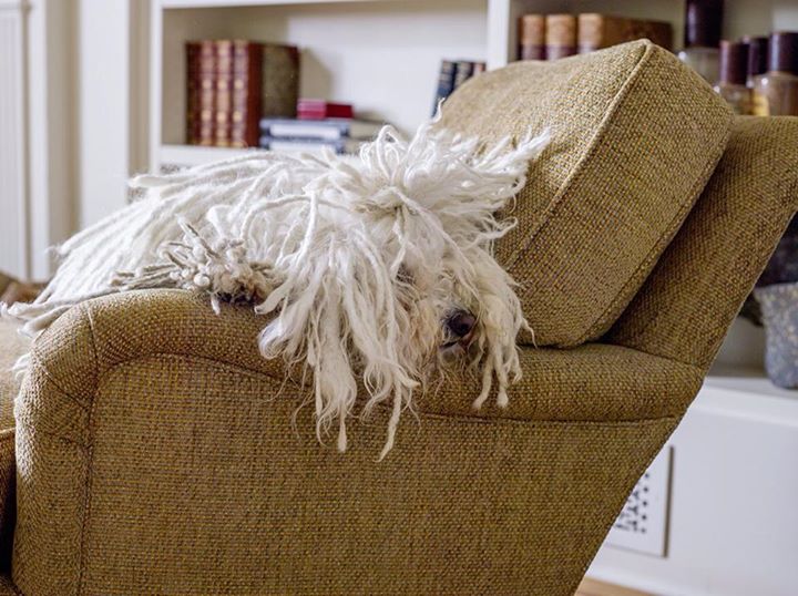 10509645_914035535289967_6796737656882645225_n