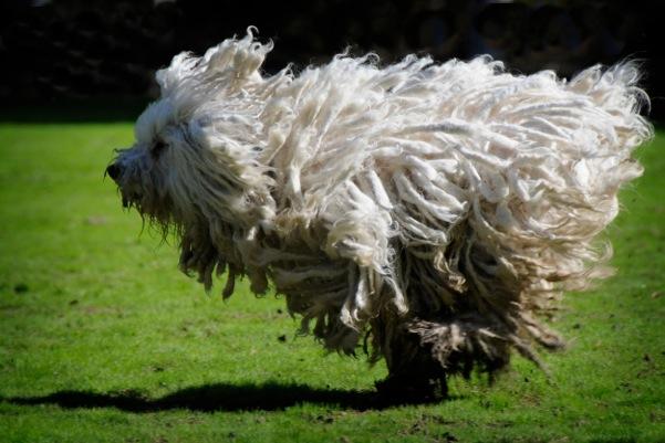 532476_569518109741713_2055767381_n