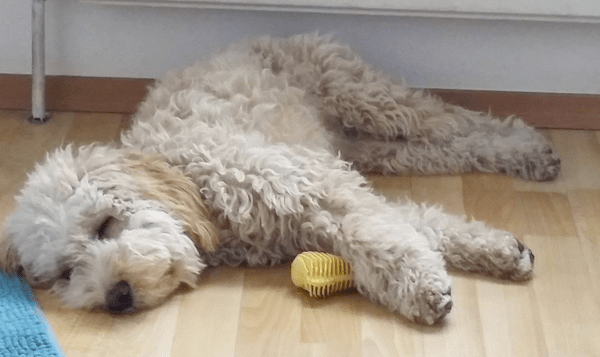 happybox-christmas-2