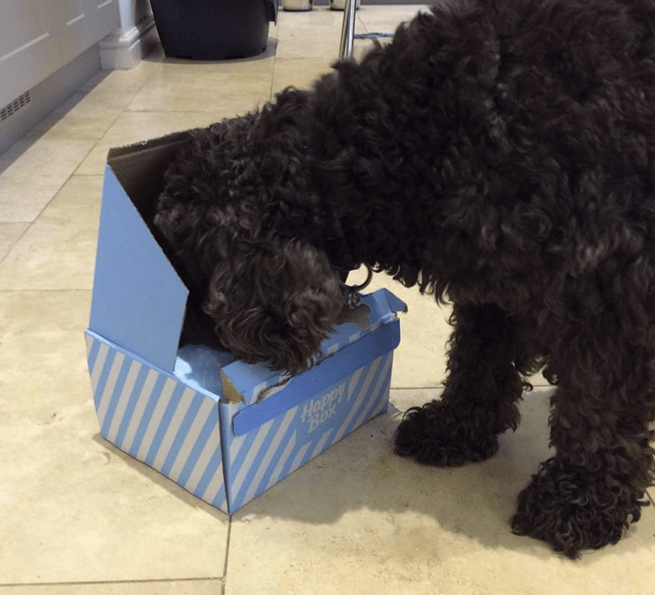 happy-box-christmas-68