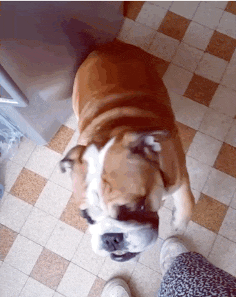 happybox-christmas-5