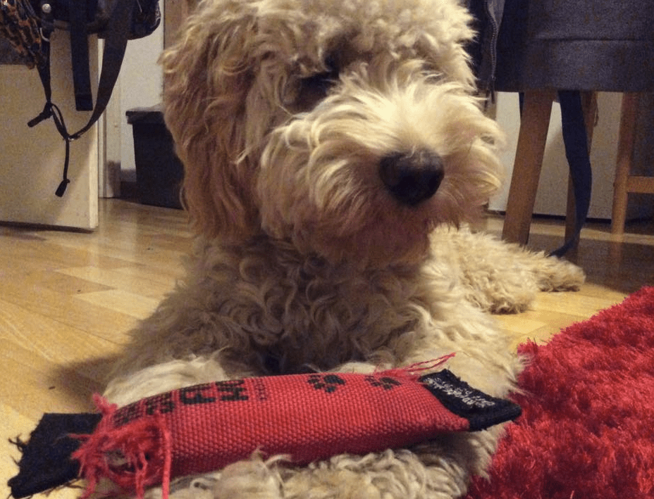 happy-box-christmas-9