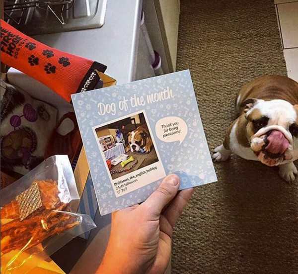 happy-box-christmas-6