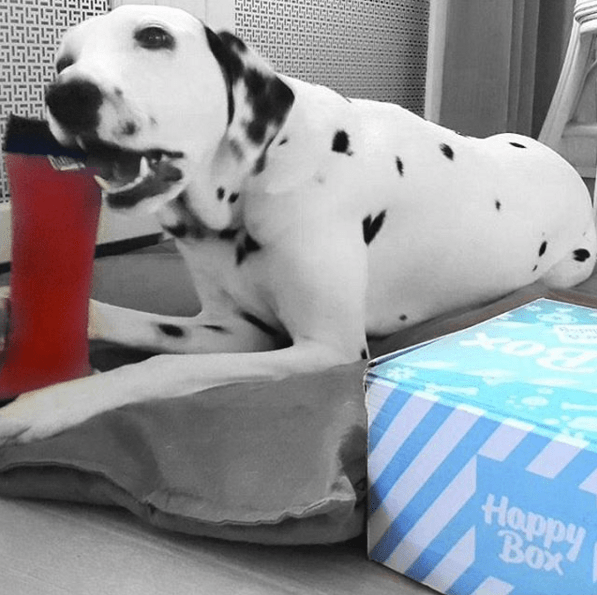 happybox-christmas-1