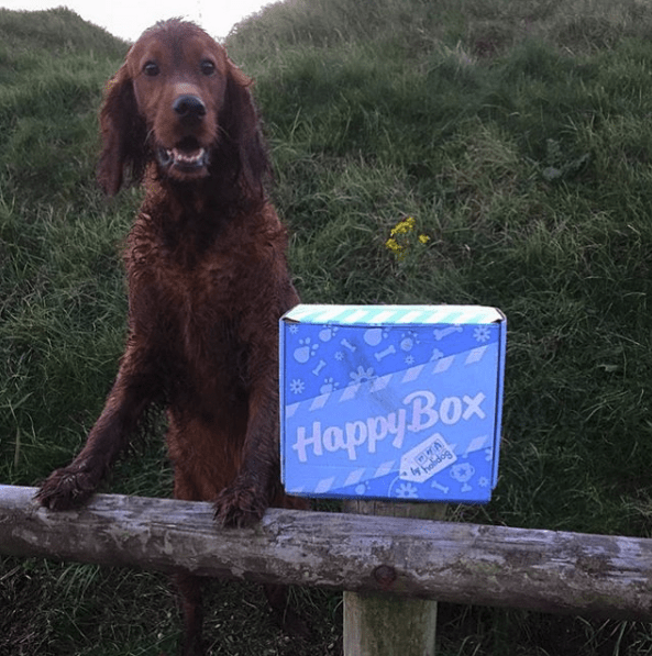 happybox-christmas-3