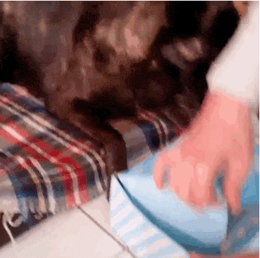 happybox-christmas-21