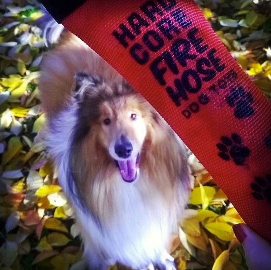 christmas-happy-box-14