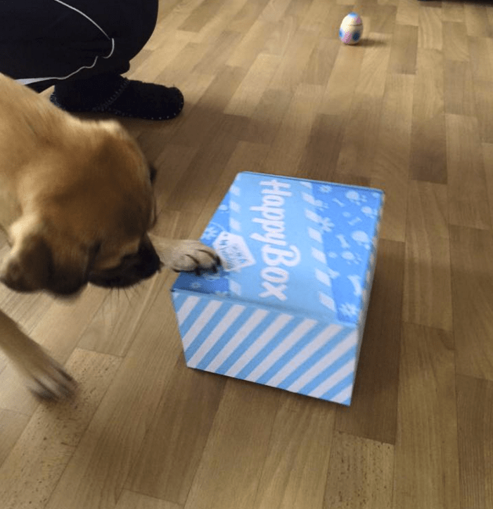 happy-box-christmas-10