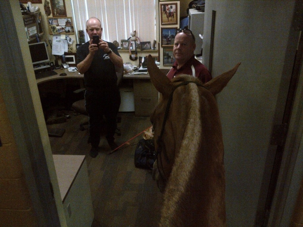 police-dying-horse-2