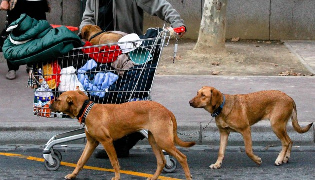 A youth with his dogs in the city center, young as this one are nicknamed "punk dog ". Toulouse, FRANCE-20/11/14/SCHEIBER_105801/Credit:FRED SCHEIBER/SIPA/1411211129