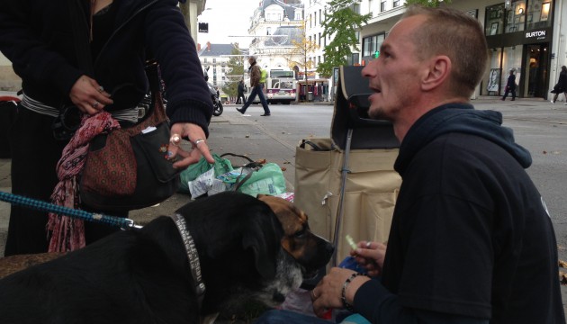 chien-babines-espoir-1