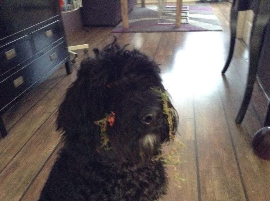 christmas-decorations-6