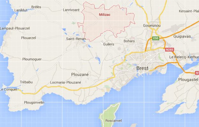 cadavres-animaux-Brest-1