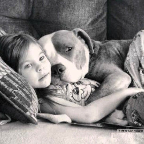 55d0ae12774bccdf92aa48e0e1f24f16