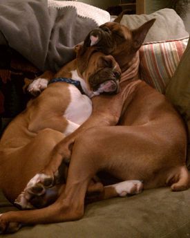 7ebb515462861508ad18b86d295cc287