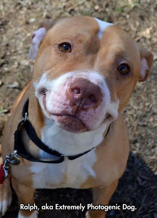 2d9e6ed49a728e19ae2b771b2e9d1827