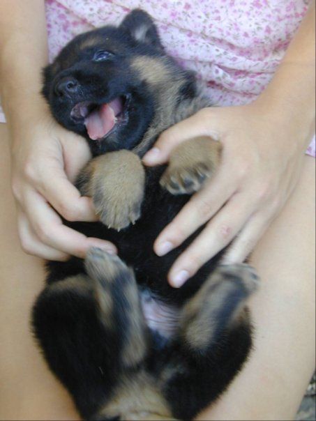 0ba9310b807c018f8567ca9f8ebea0e0