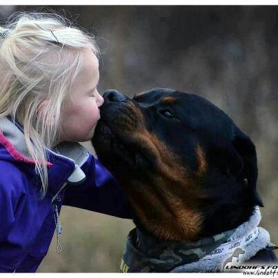 c04ecd0a8250aab2991bfe3344589b67