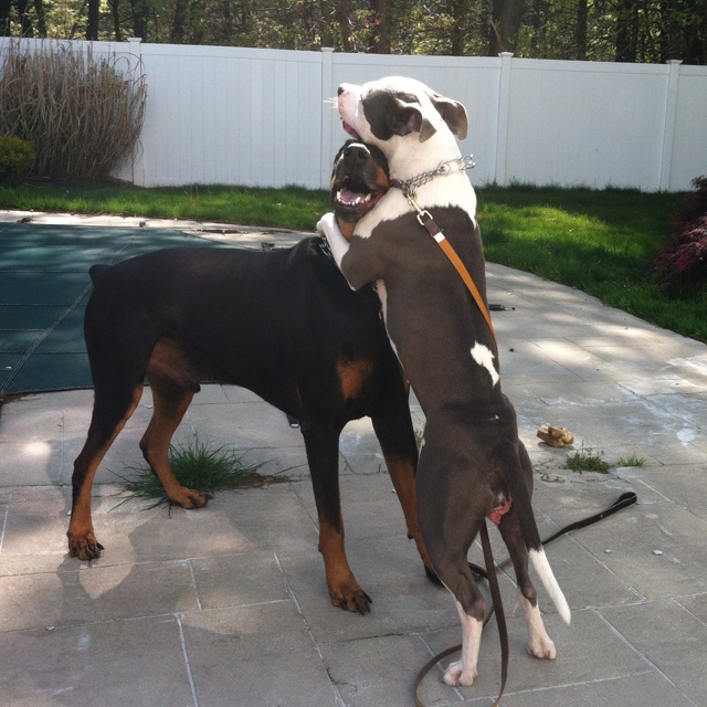 3fb7d5bc99768cac587ddba6370c2de9