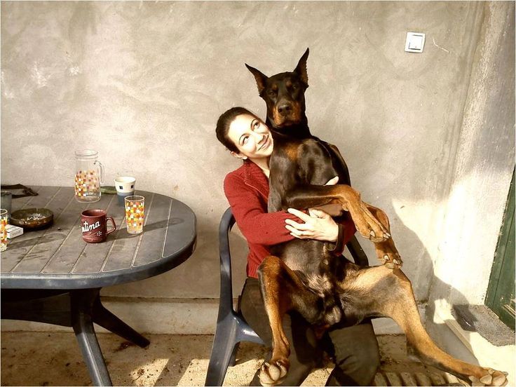 6b763da8017ece649fa1271759b39b33