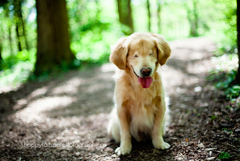 Screenshot 2015-03-12 10.14.26