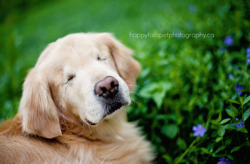 Screenshot 2015-03-12 10.16.55