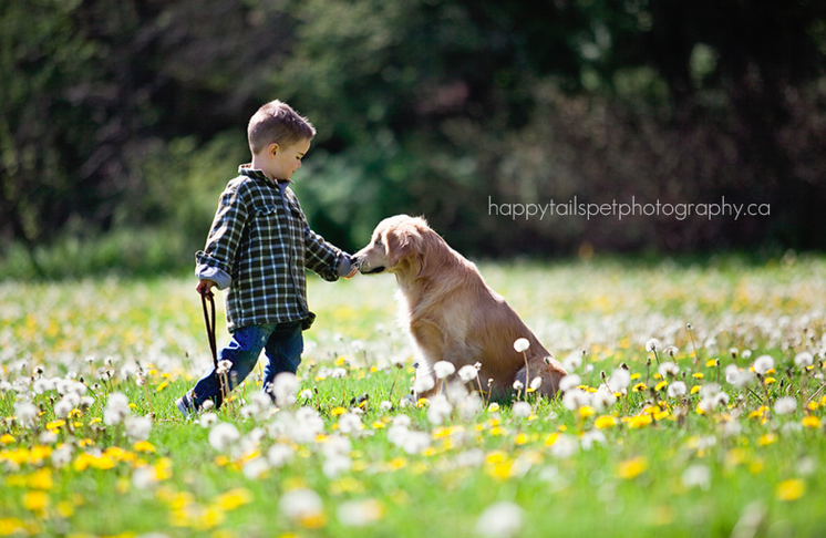 blind dog retriever smiley 