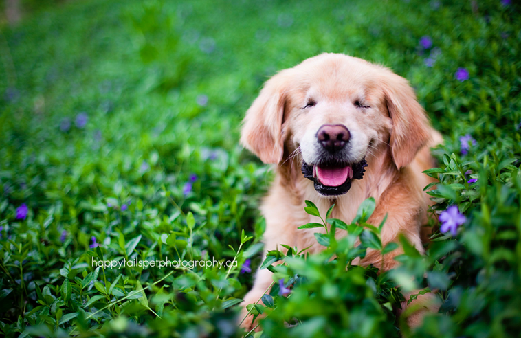 born without eyes 'Smiley'