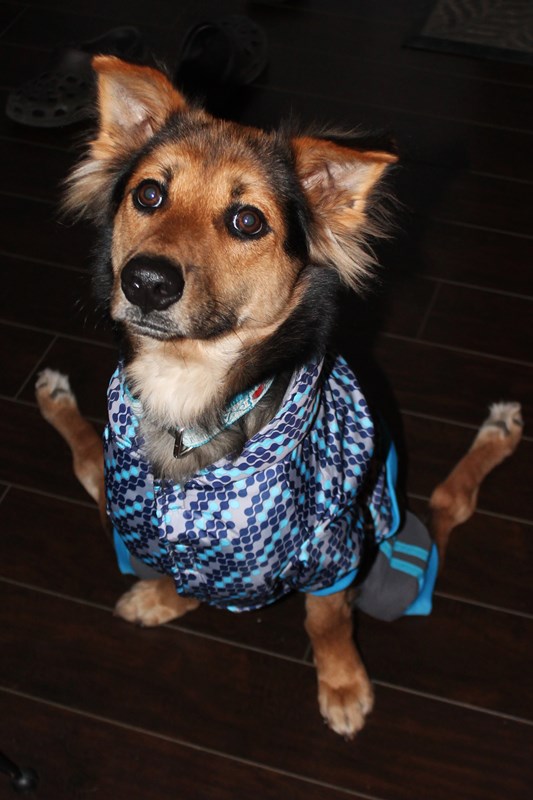 ac286943-1875-48f3-bf50-9c8dccca7c8b