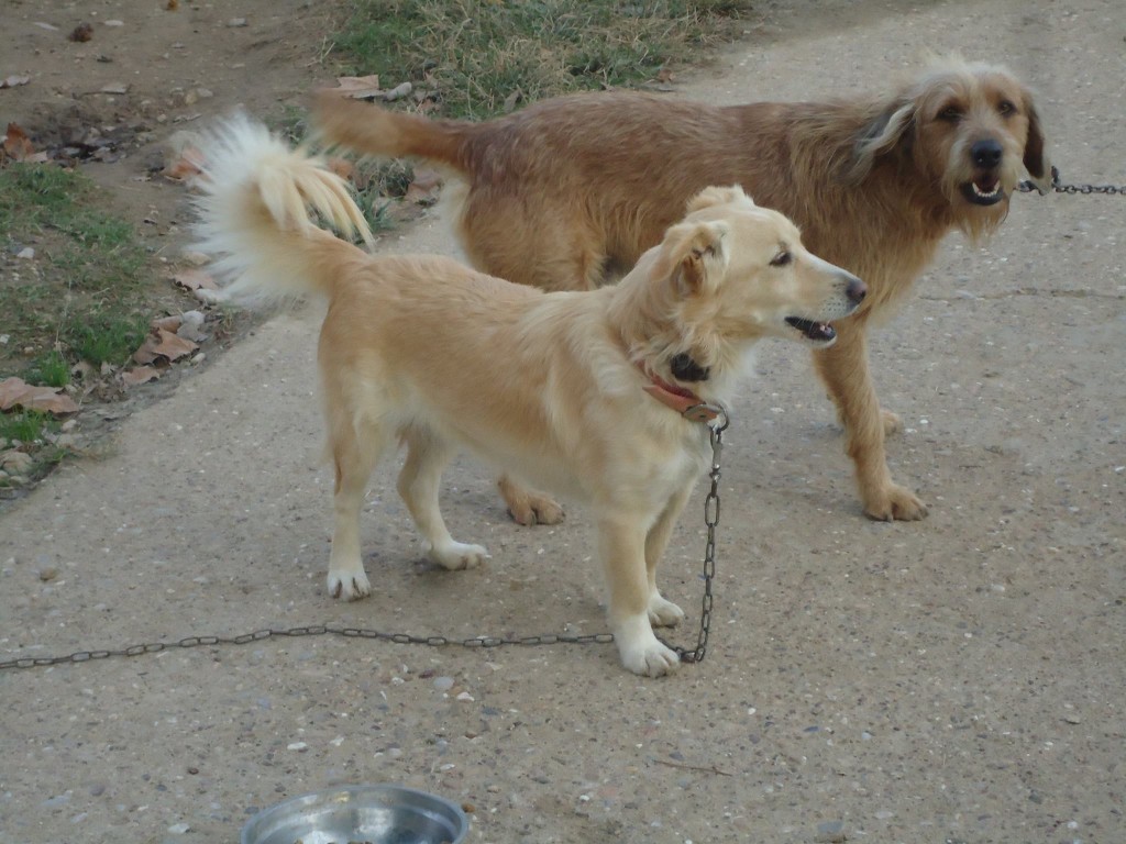 Hott-spot-cafe-Lesbos-1