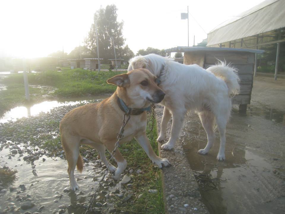 Hott-spot-cafe-Lesbos-3