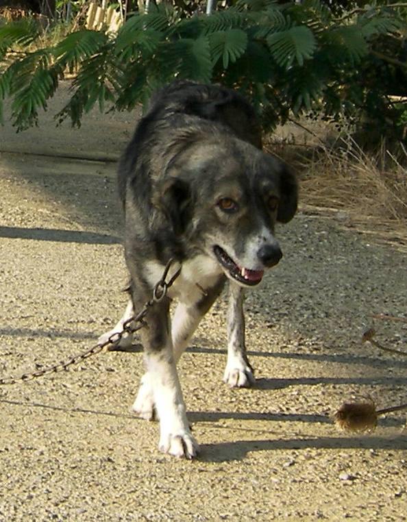 Hott-spot-cafe-Lesbos-2