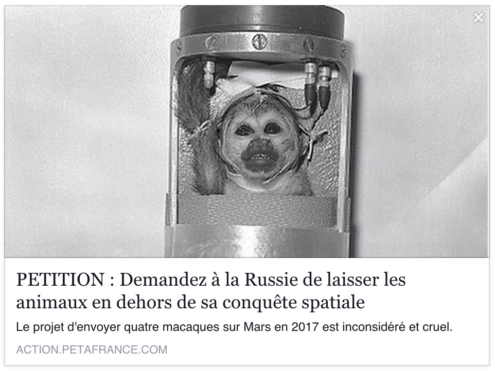 Monkeys-mars-2017-Peta