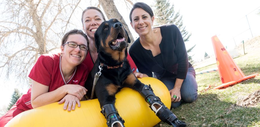 Colorado State University