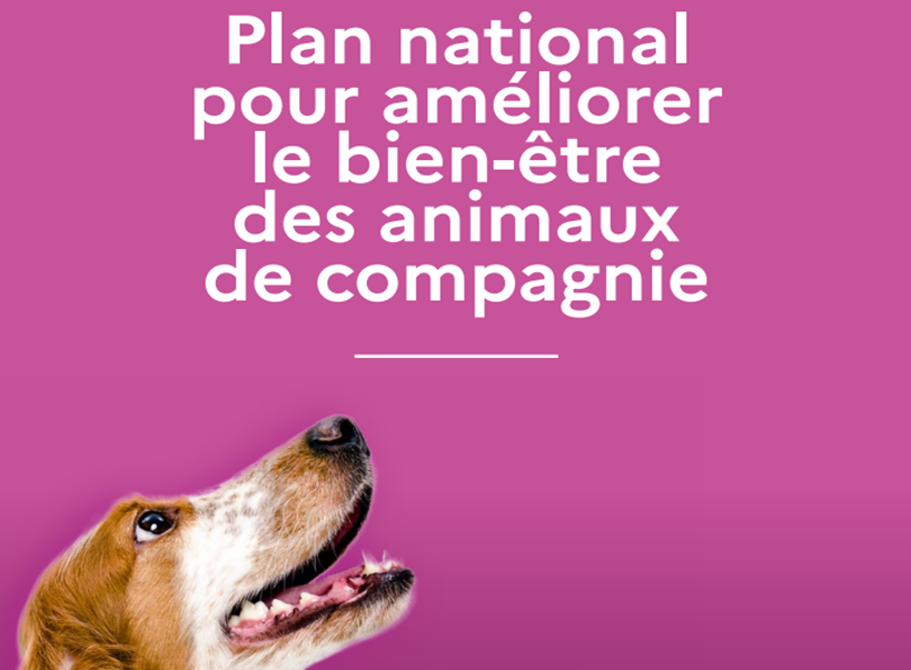 PARIS : Le bien-être des animaux de compagnie, priorité du Gouvernement -  Presse Agence
