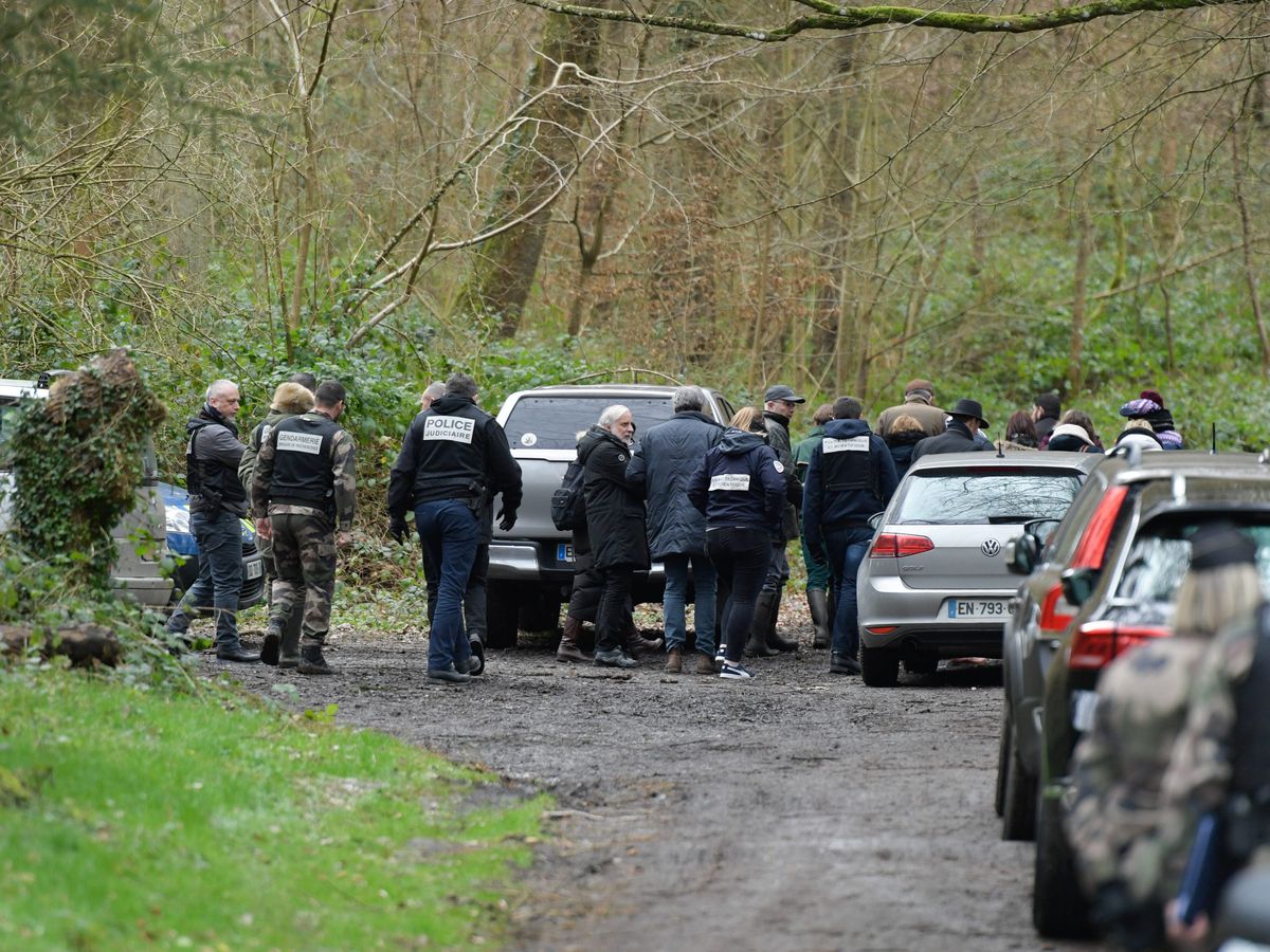 Affaire Elisa Pilarski : les tests ADN confirment que la jeune femme a été  tuée par le chien Curtis, qu'elle promenait