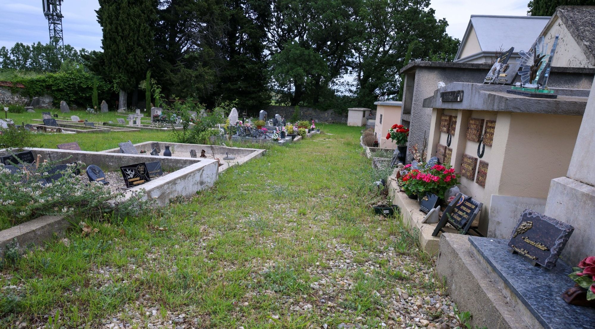 Faits divers - Justice - Nonagénaire tuée par un chien : l'éleveuse en  détention provisoire, ses fils et la stagiaire mis en examen