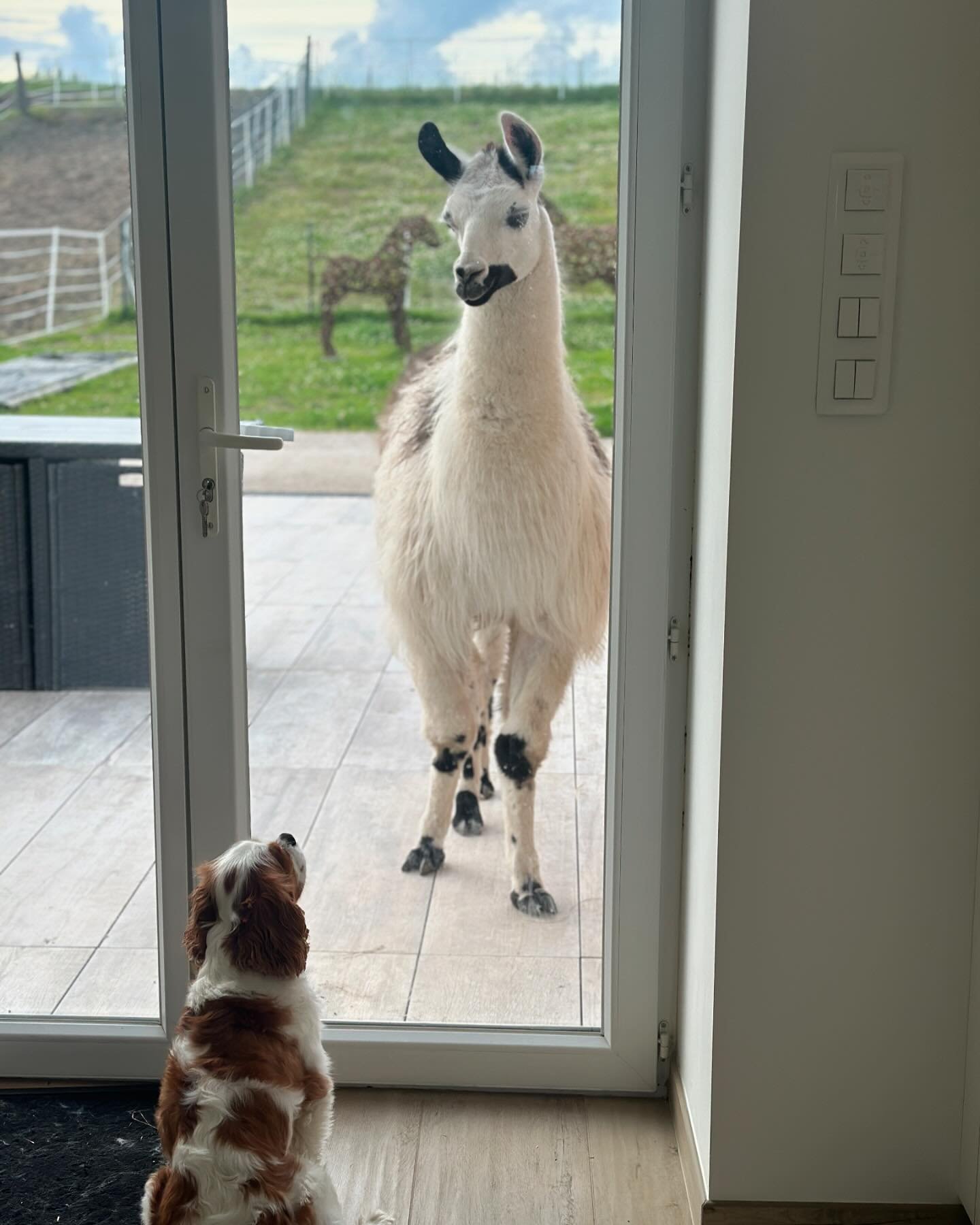 Aucune description de photo disponible.