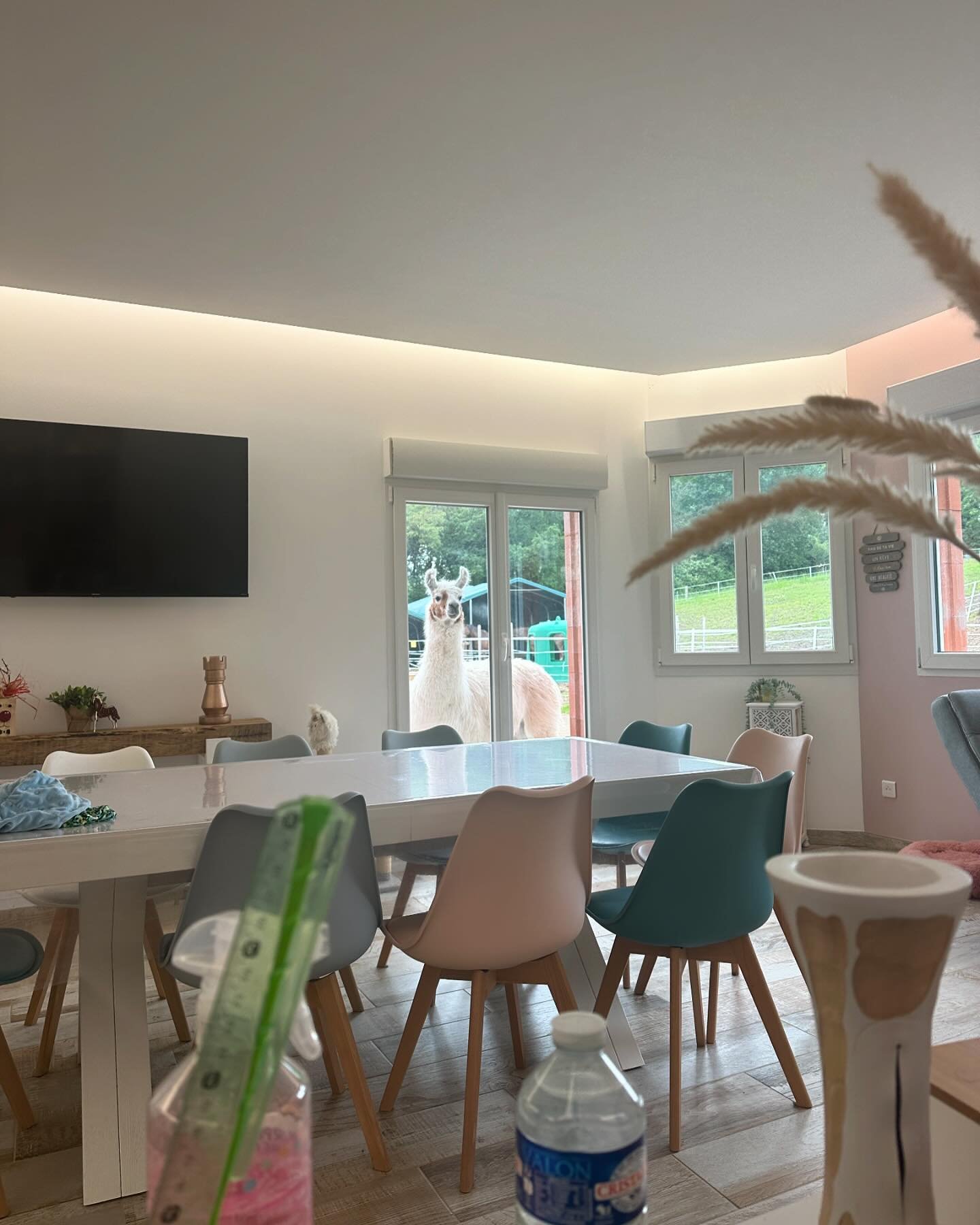 Peut être une image de intérieur