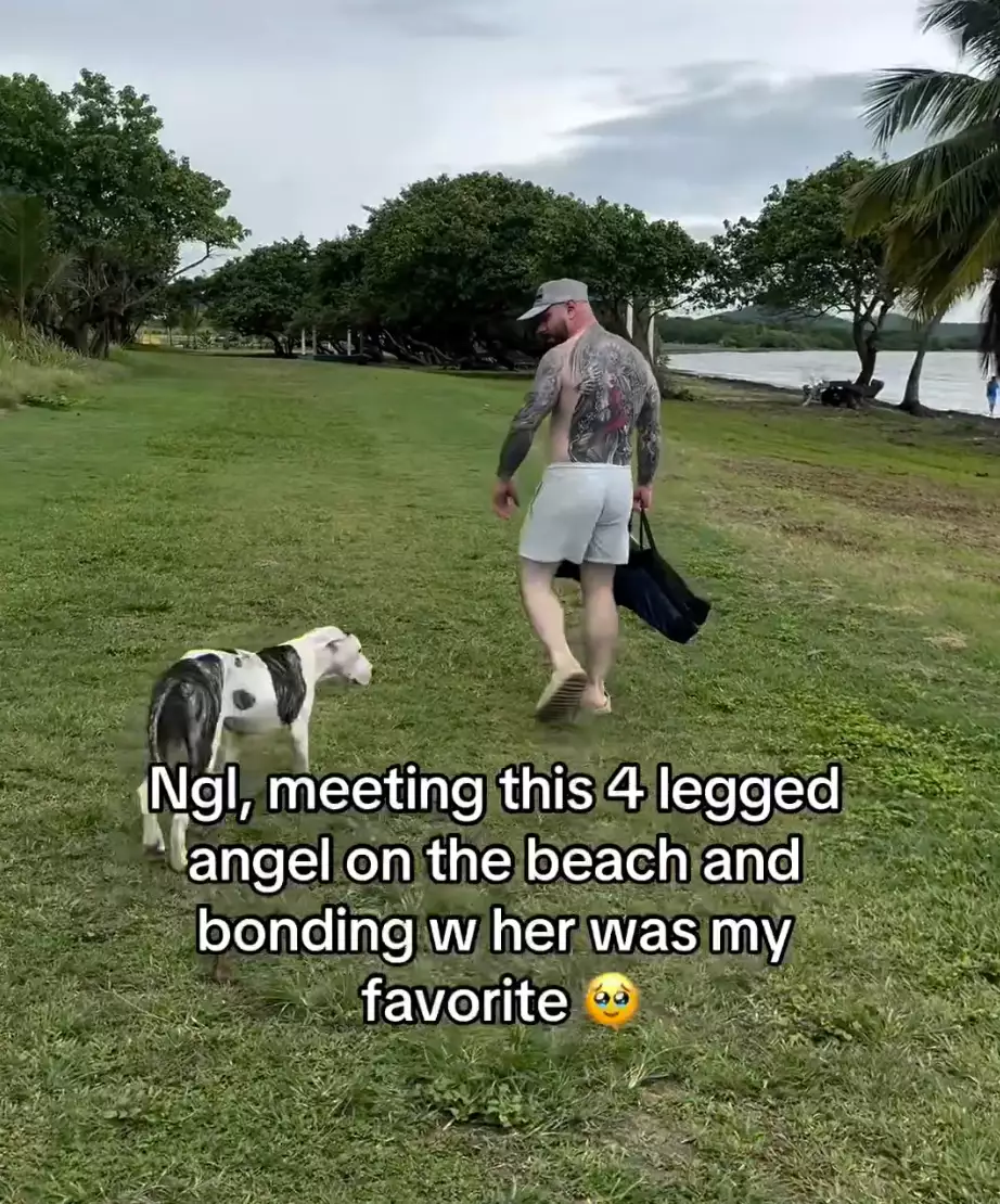 Man Adopts Dog After Finding Her During Puerto Rico Vacation 