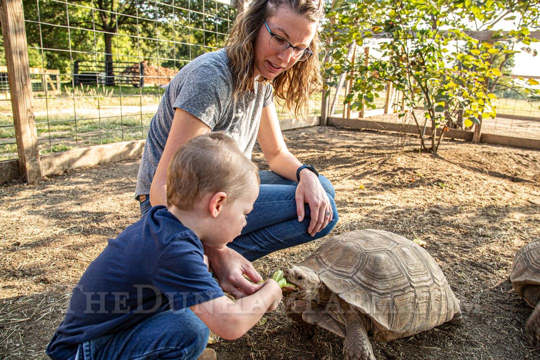 The Dunham Farm Silkie Chickens, Bunies, and Petting Zoo