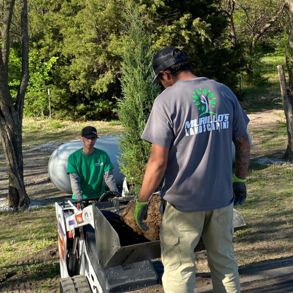 About Us Murillo's Landscaping