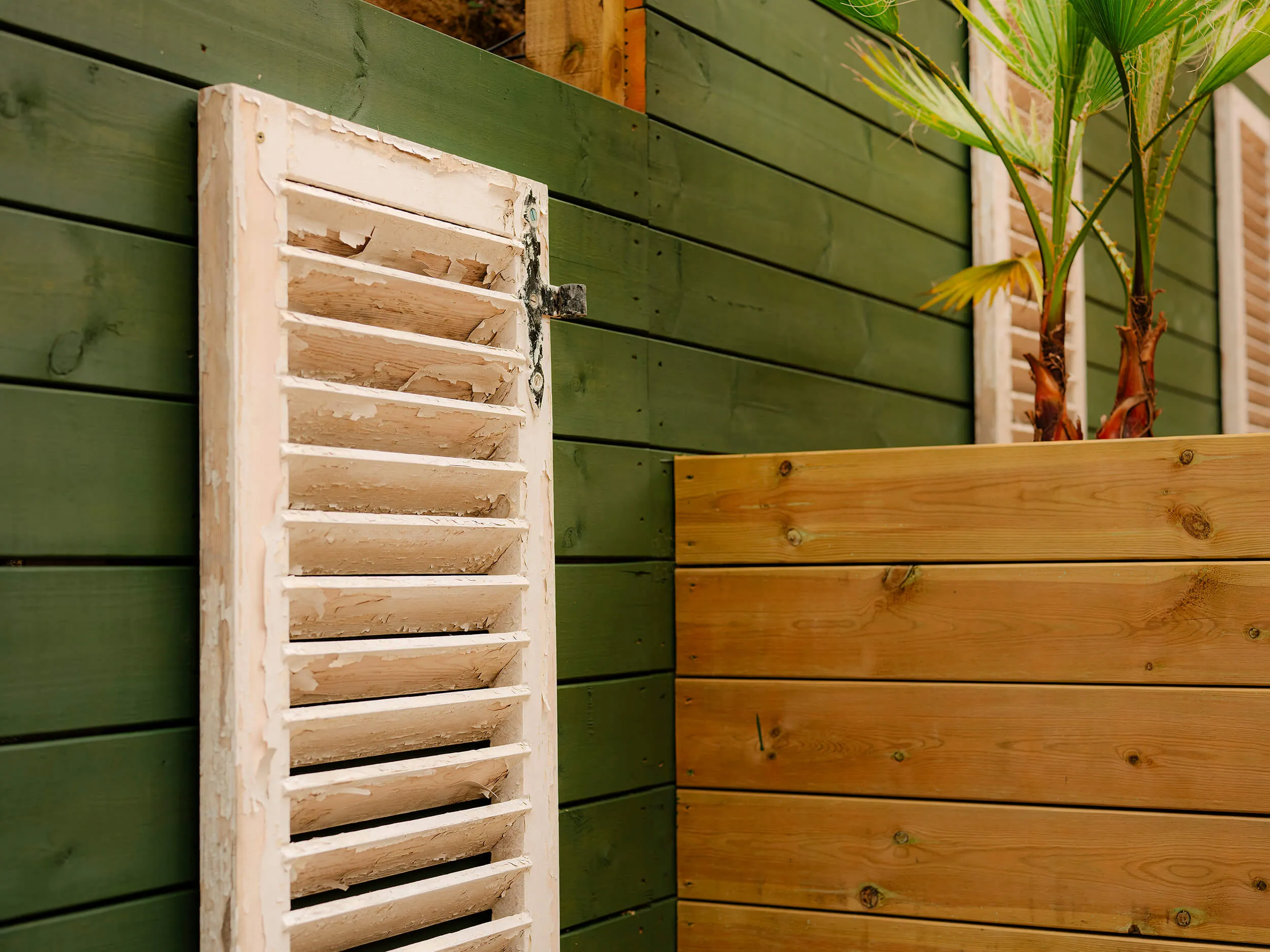 The Garden Adam and Eve Alnwick