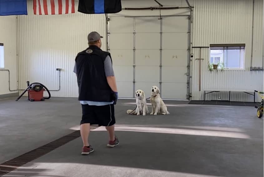Basic Dog Boot Camp Basic Dog Training