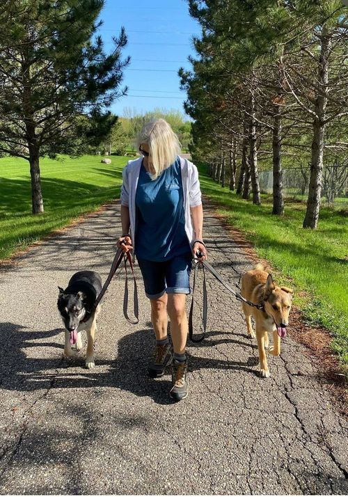 Private Dog Training Private Dog Trainers